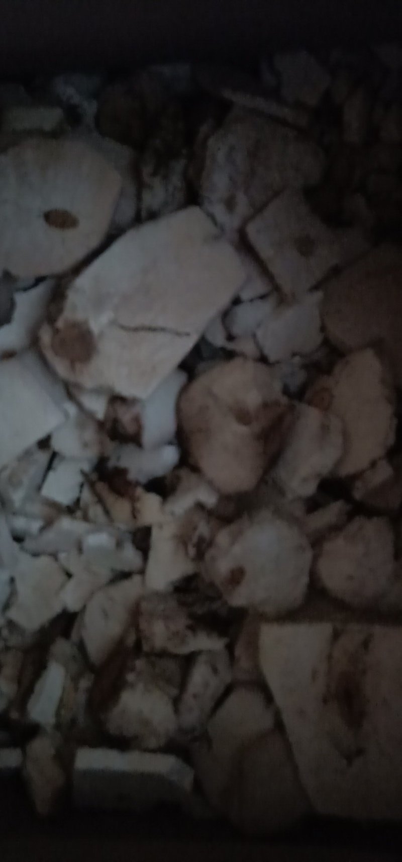 中药材伏神赤茯苓茯神云神新货野生茯神
