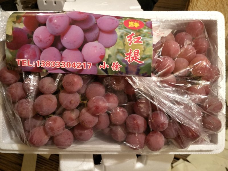 精品红提
