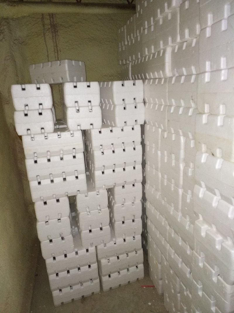 精品红提