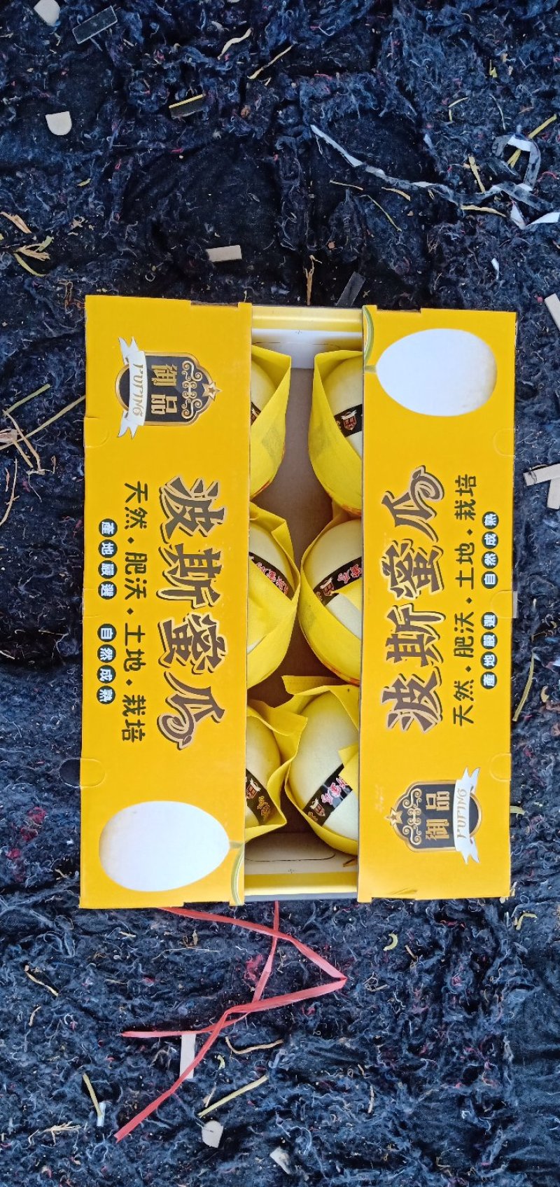 波斯蜜瓜