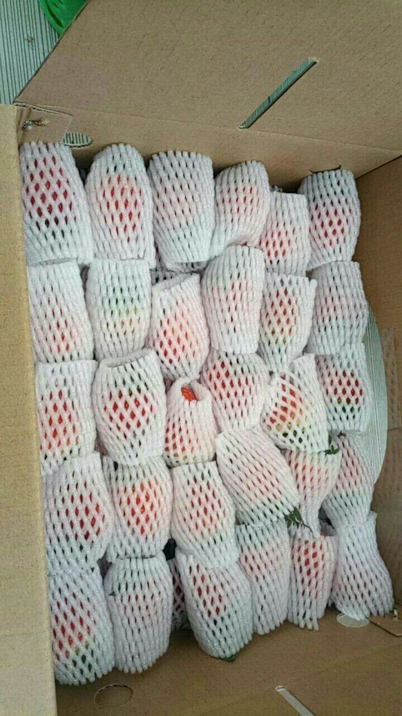 红颜草莓巧克力草莓现摘现发