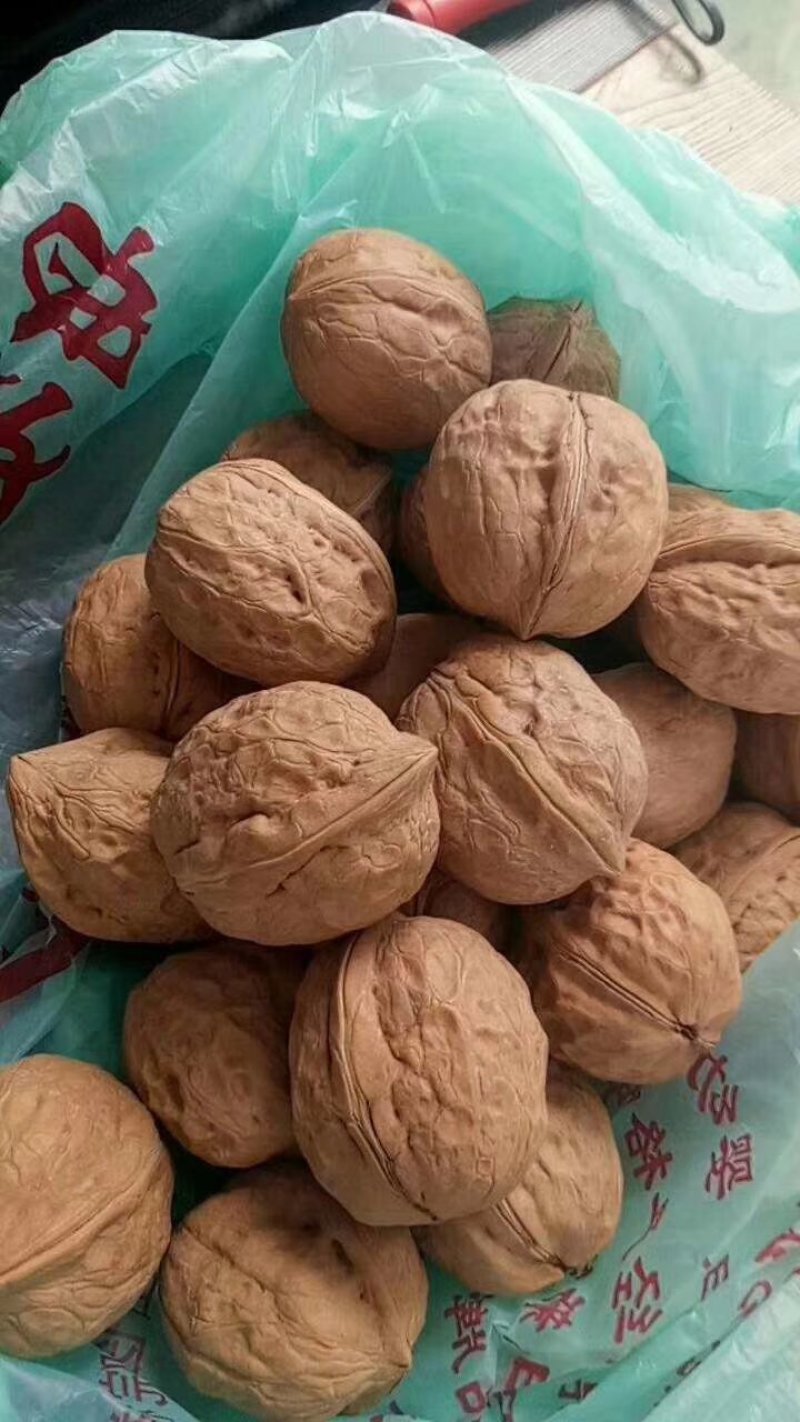 核桃