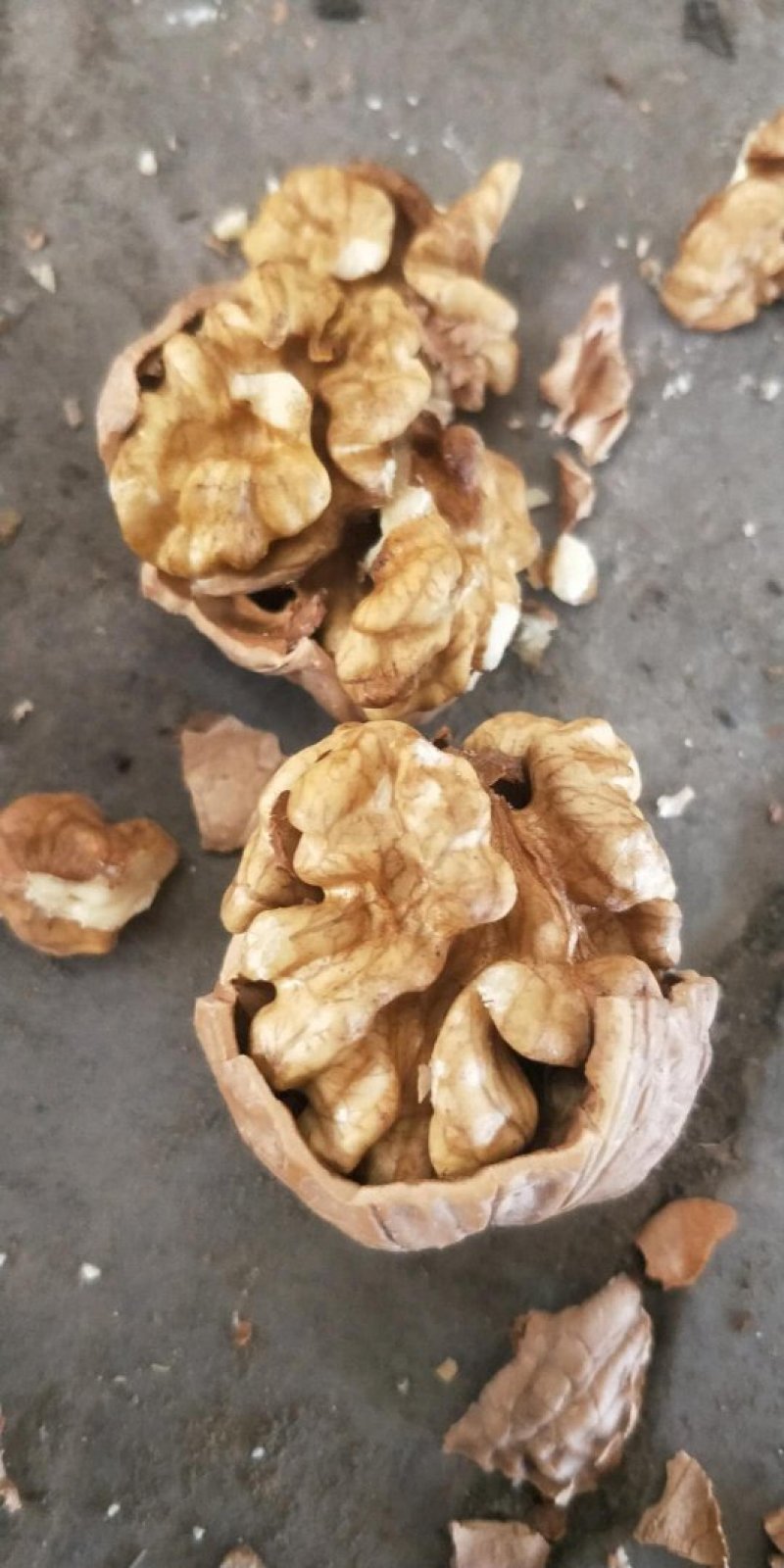 核桃