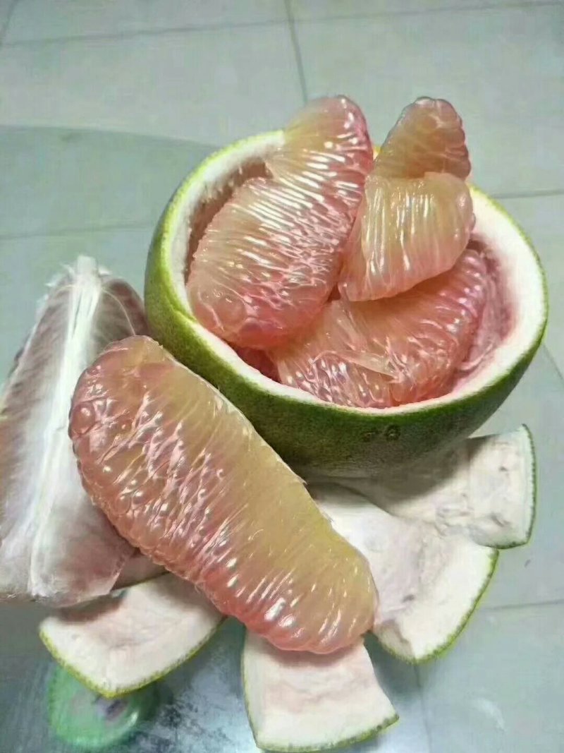泰国青皮柚苗柚子苗嫁接苗