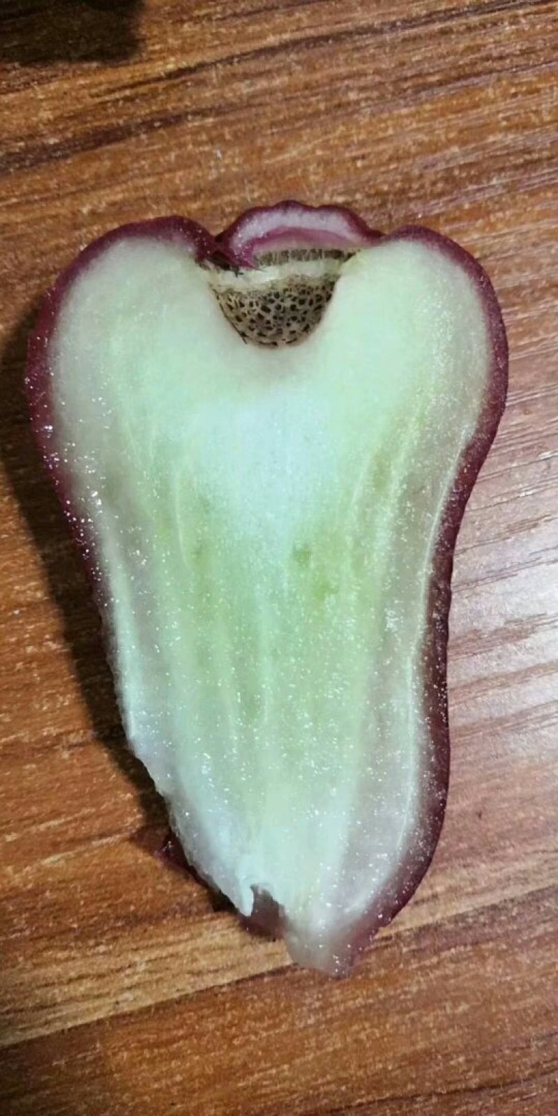 黑金刚连雾苗