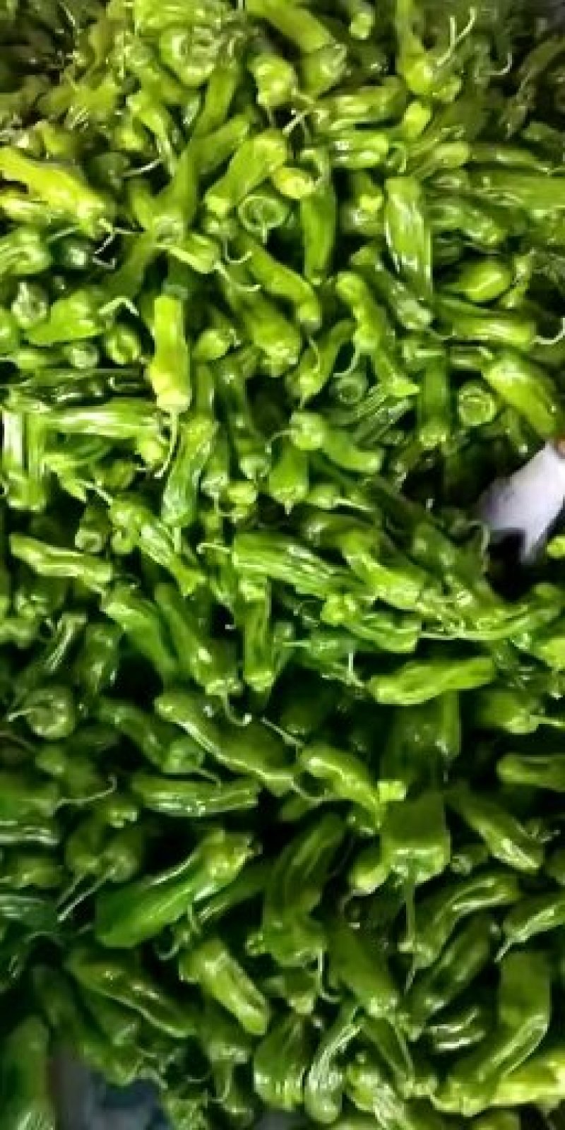 各种辣椒大量上市欢迎来电