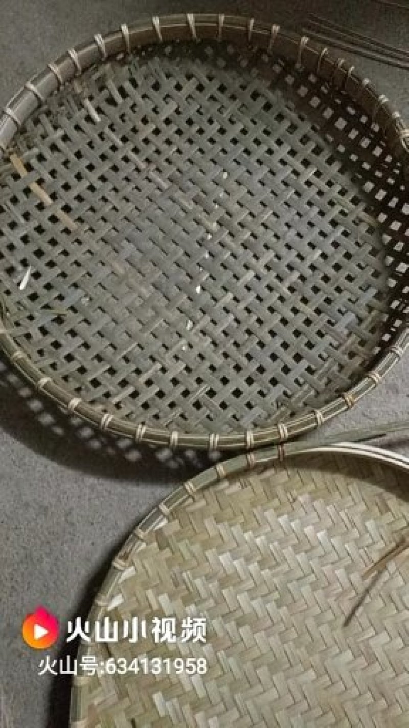 竹类植物
