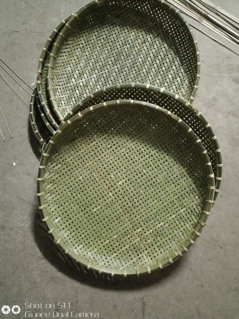 竹类植物