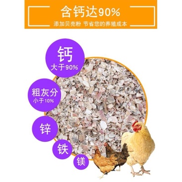 贝壳粉饲料鸡用贝壳粉鹌鹑用贝壳粉鸽子用贝壳粉