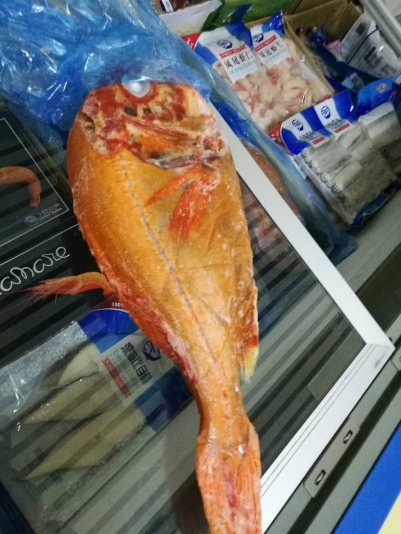 长寿鱼，新西兰近期新货保证品质，1250/1500的