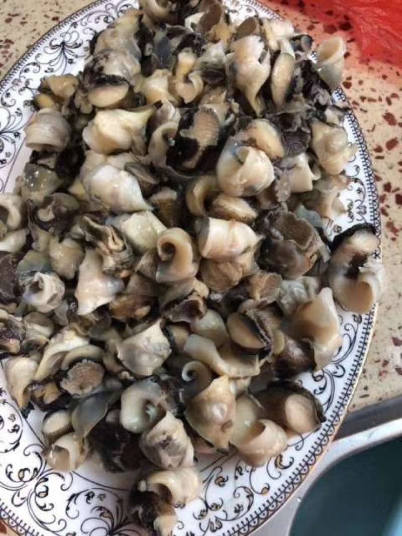 海螺头，进口海螺肉单冻，价格便宜