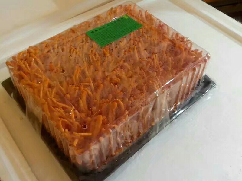 黑皮鸡枞菌，北虫草，蛹虫草，虫草花，鲜品，干品，菌种