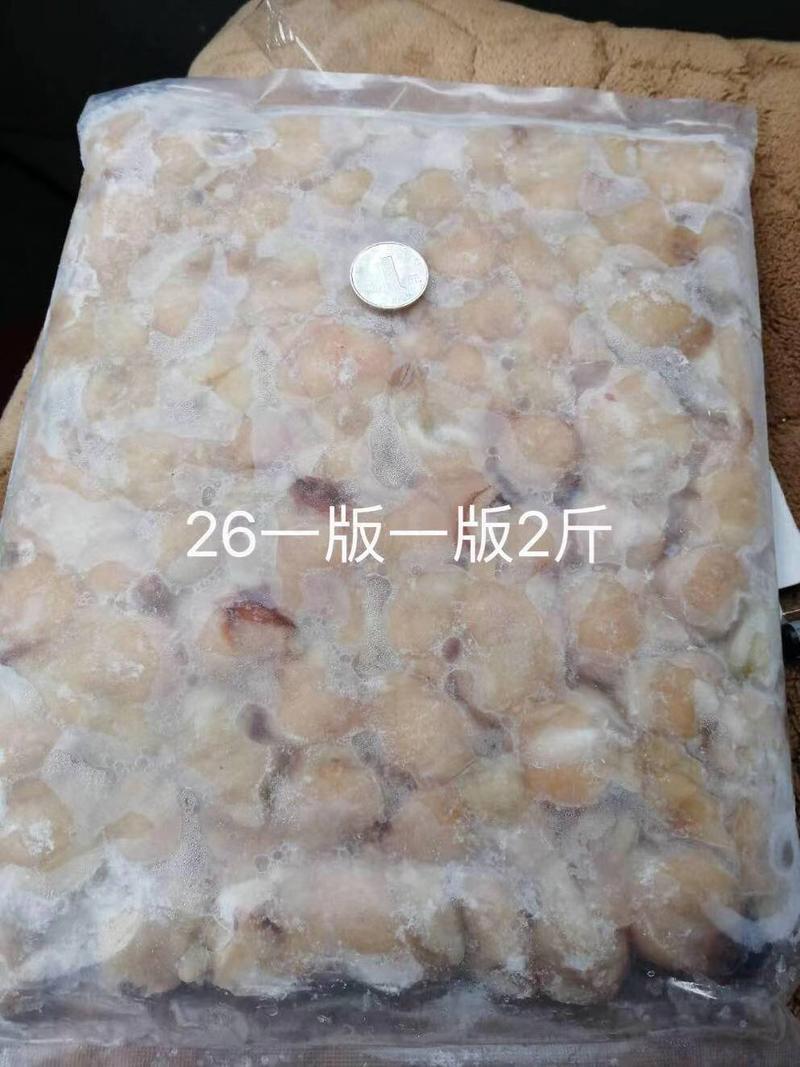 新鲜鱿鱼嘴