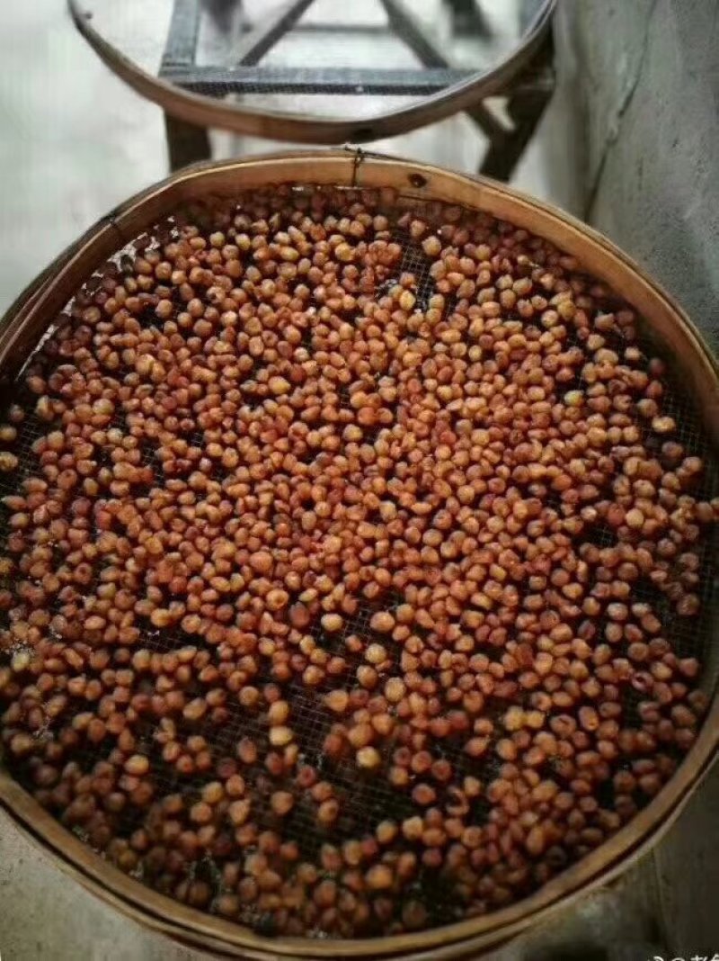 桂圆肉