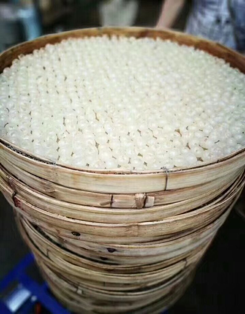桂圆肉
