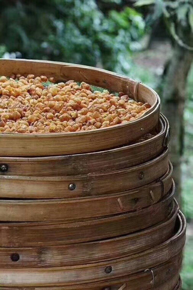 桂圆肉