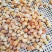 生晒大瑶柱