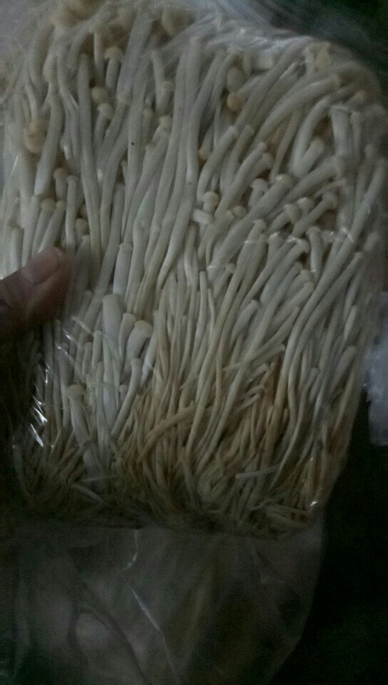 金针菇