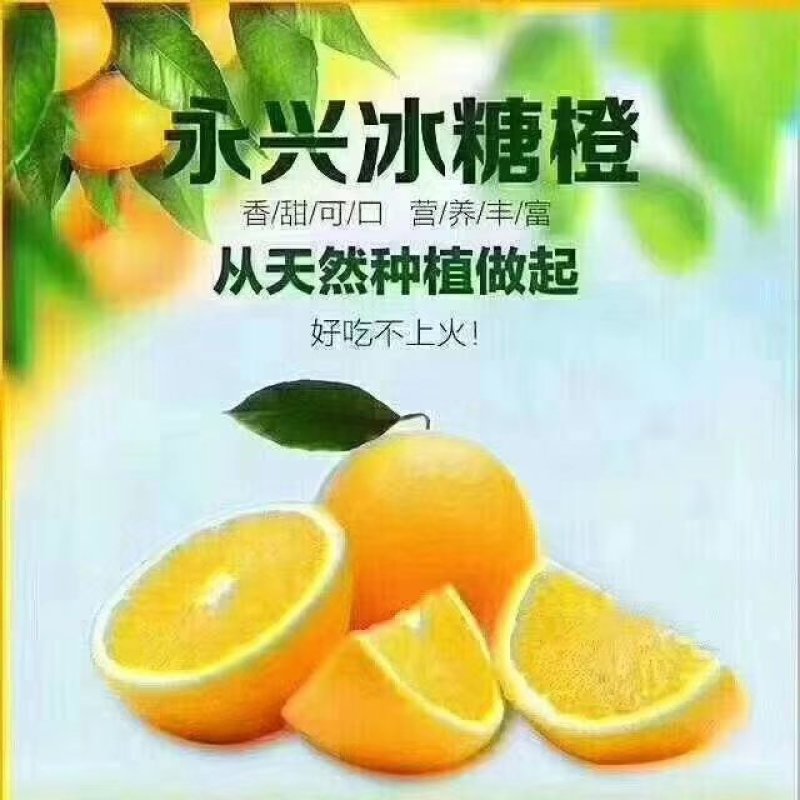 正宗永兴冰糖橙——好吃不上火，果粒更青春。电商一代发。