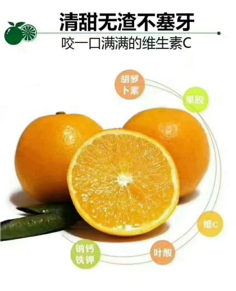 正宗永兴冰糖橙——好吃不上火，果粒更青春。电商一代发。