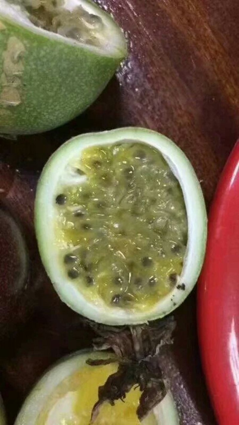 绿皮荔枝味百香果嫁接苗扦插苗黄金百香果苗