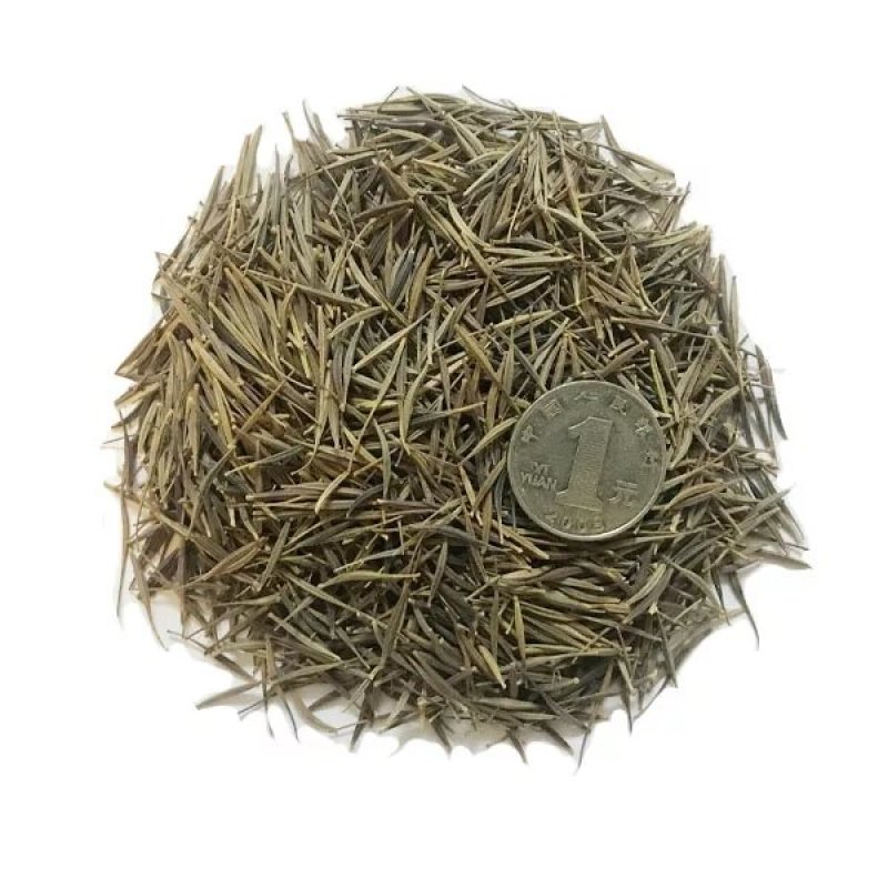 格桑花波斯菊