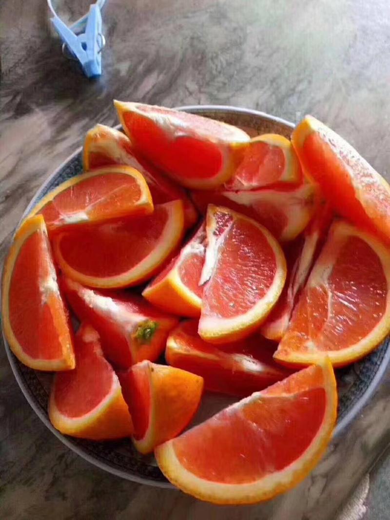 中华红脐橙又名血橙，湖北秭归产地直发果肉红色汁甜全国发货
