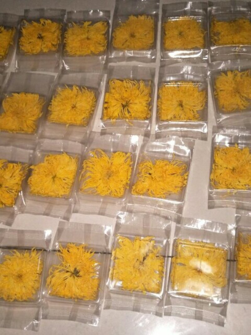 金丝皇菊茶
