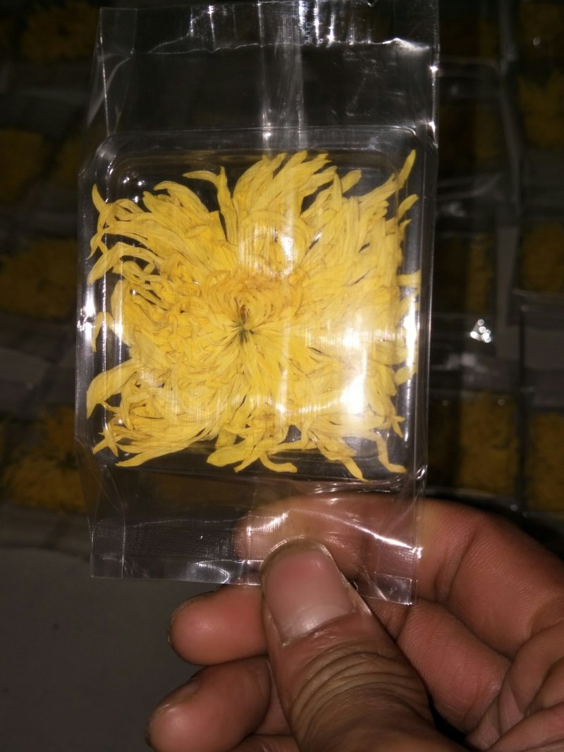 金丝皇菊茶