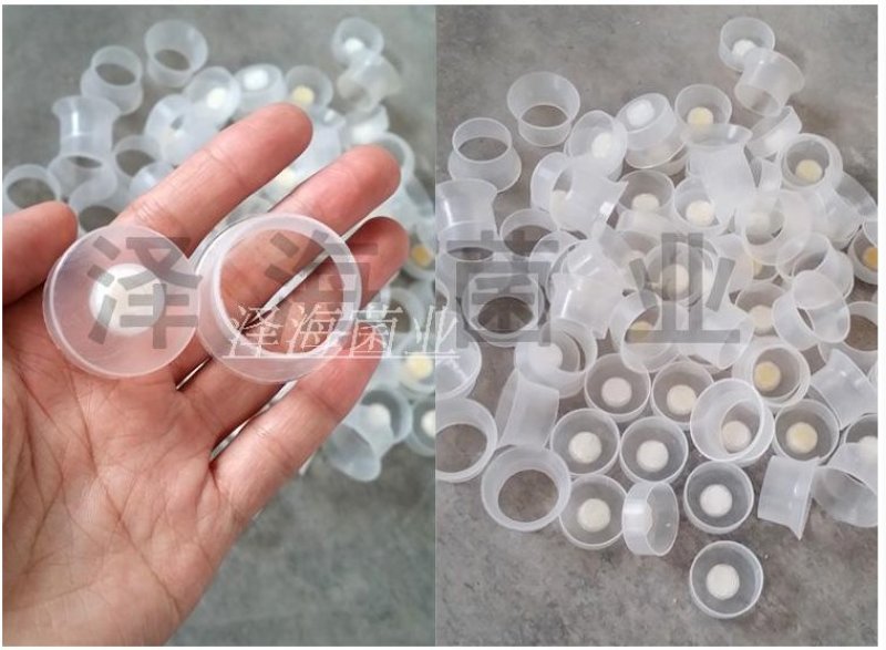 泽海菌业食用菌出菇圈菌种菇种菌棒包装专用出菇圈正品保证