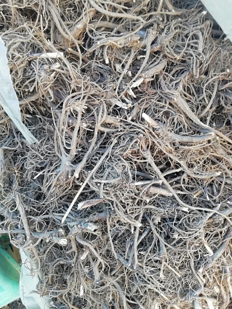蒿本干货全程提供技术指导