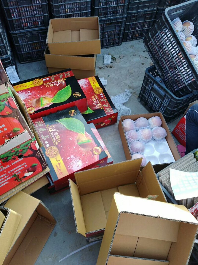 正宗新疆红富士
