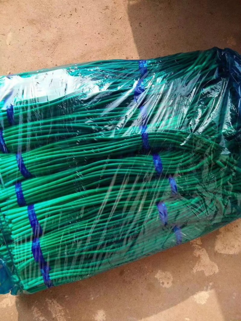山东冷库蒜苔白帽红帽全蒜苔，货源充足