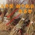秋彤,晚熟品种,冬桃,帅师香沂蒙霜红,脆甜离核