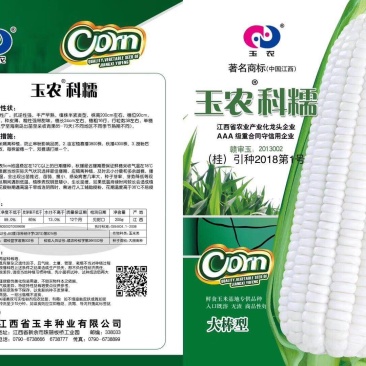 玉农科糯玉米