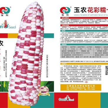 玉农花彩糯七号