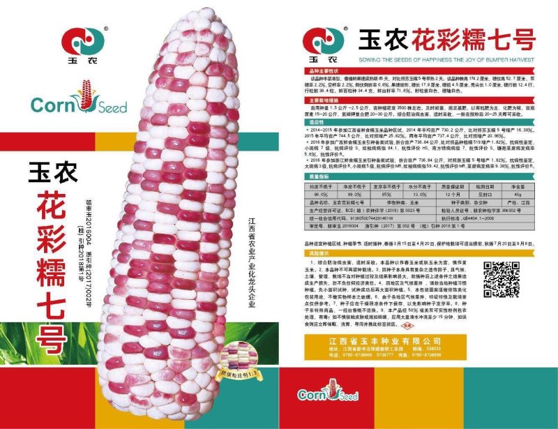 玉农花彩糯七号