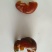 鸡宝自然风干后重量12克