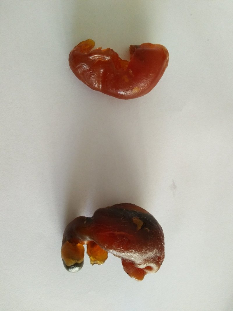 鸡宝自然风干后重量12克