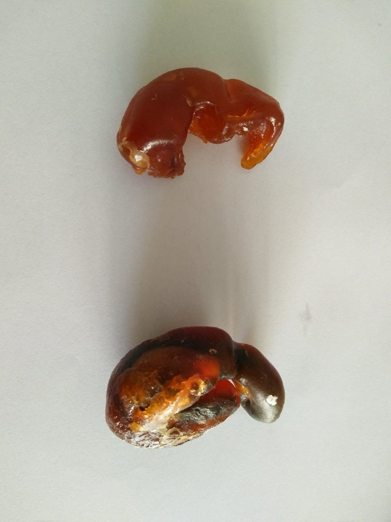 鸡宝自然风干后重量12克