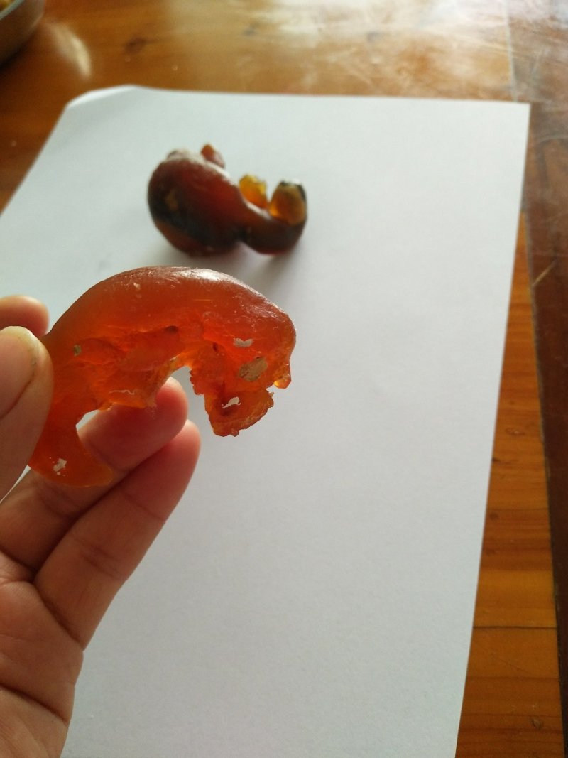鸡宝自然风干后重量12克