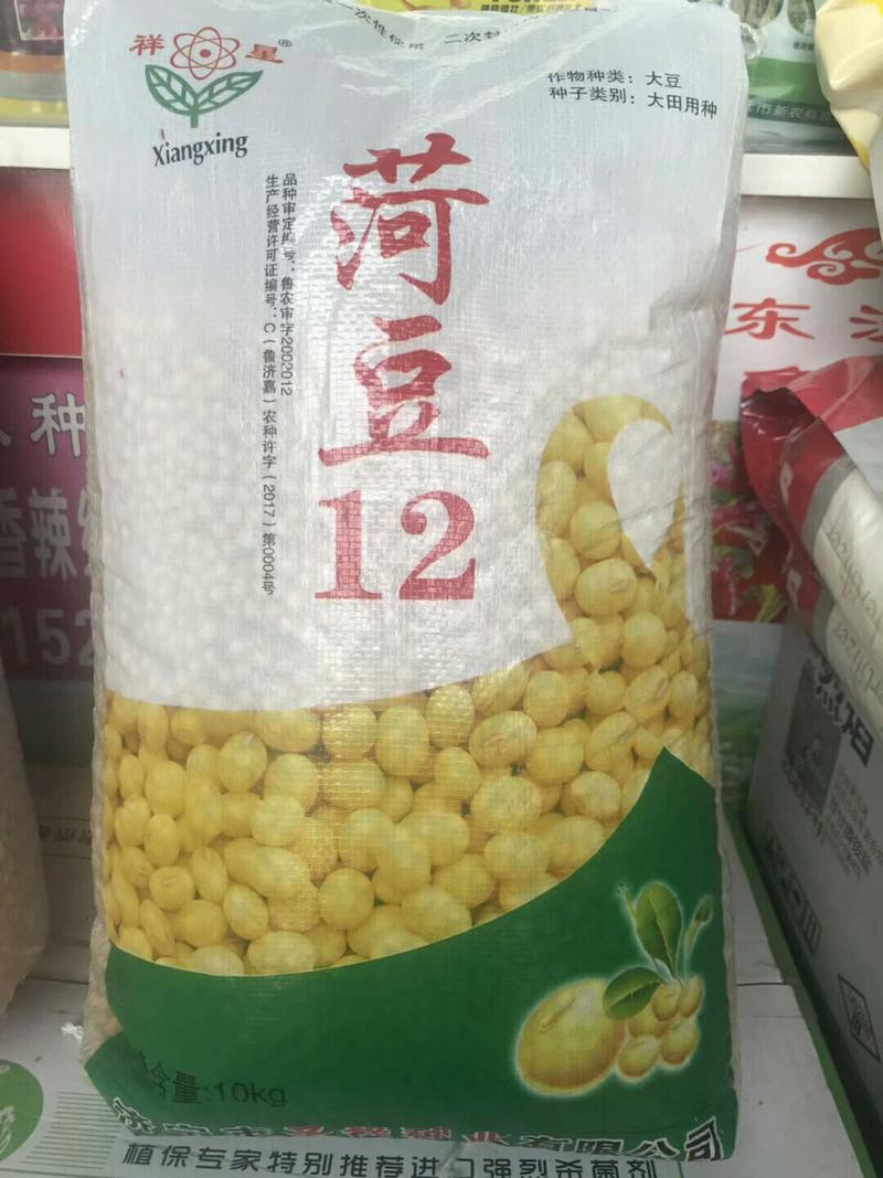 黄豆种子精选豆种厂家直销签合同包回收欢迎订购