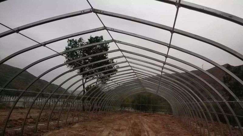无支柱大棚骨架温室骨架厂家直销养殖棚包塑大棚骨架