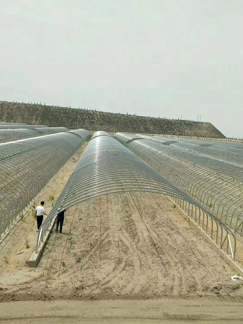 无支柱大棚骨架温室骨架厂家直销养殖棚包塑大棚骨架