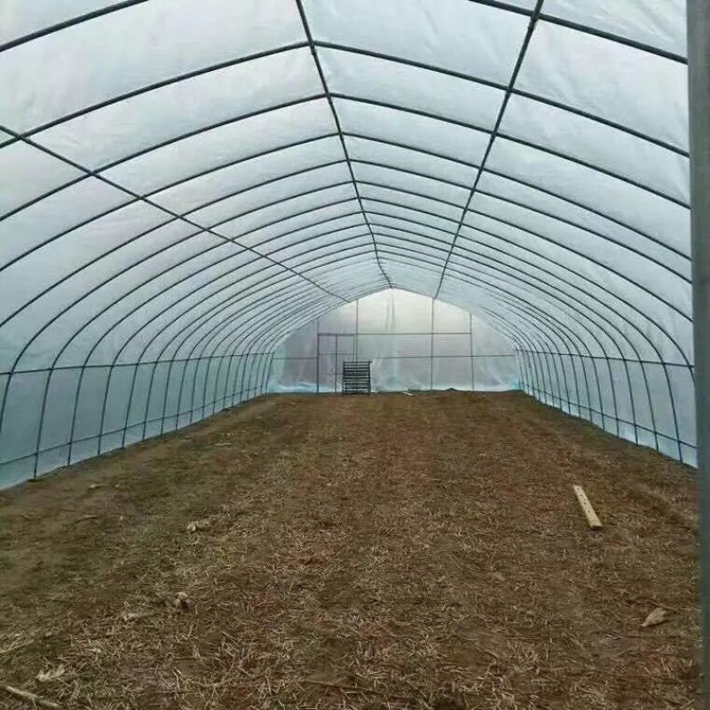 无支柱大棚骨架温室骨架厂家直销养殖棚包塑大棚骨架