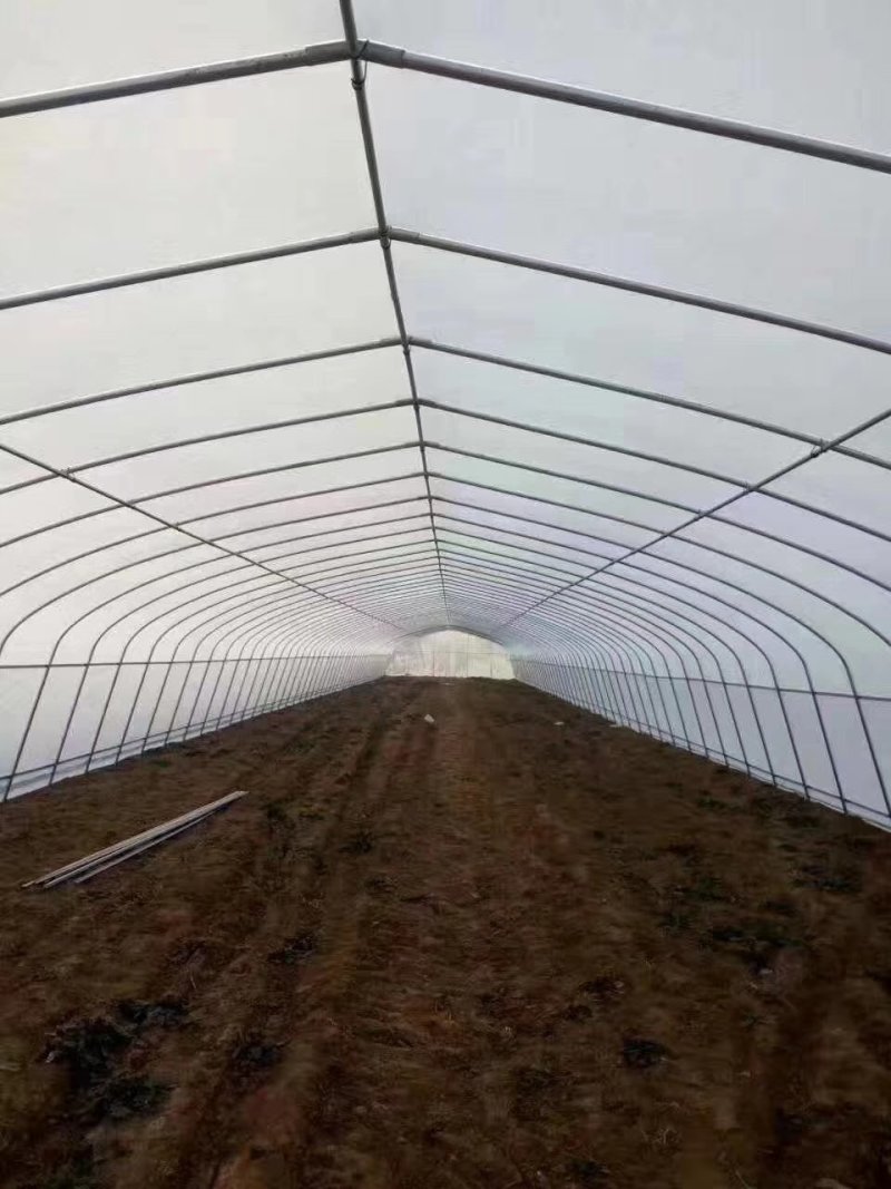 无支柱大棚骨架温室骨架厂家直销养殖棚包塑大棚骨架