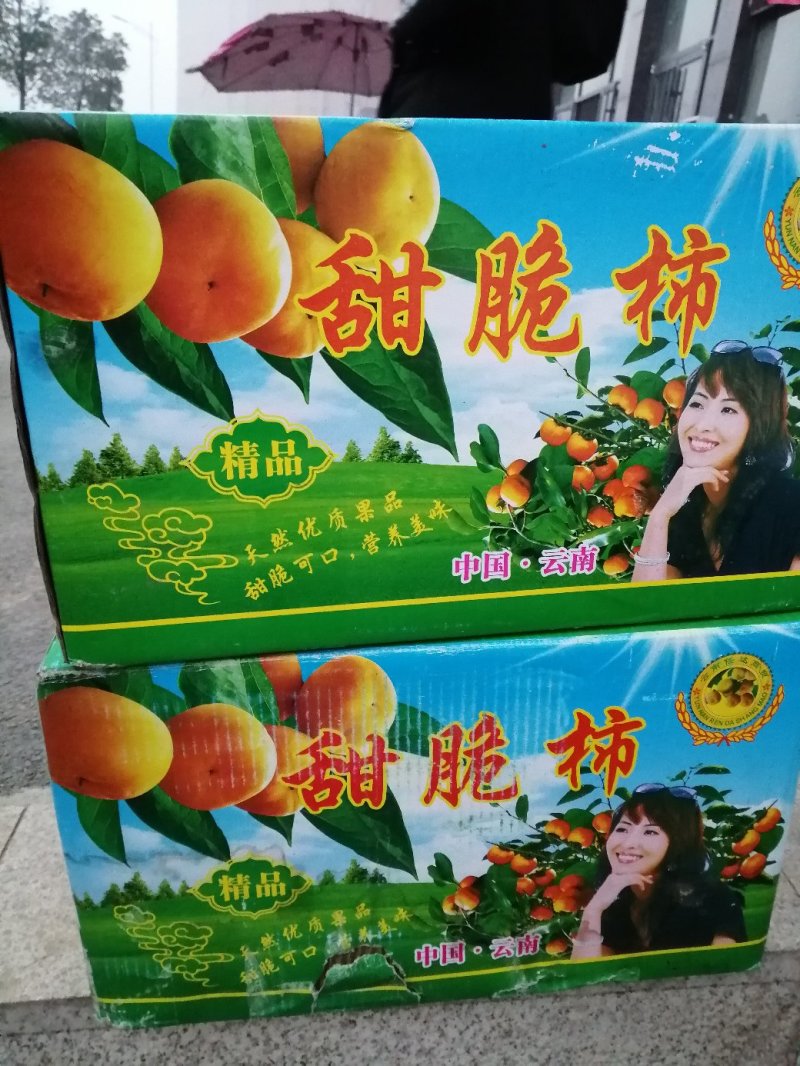 吊柿饼