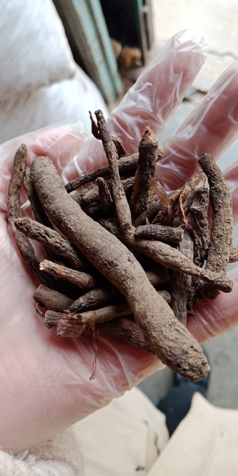仙茅批发各种中药材批发零售各种规格中药材