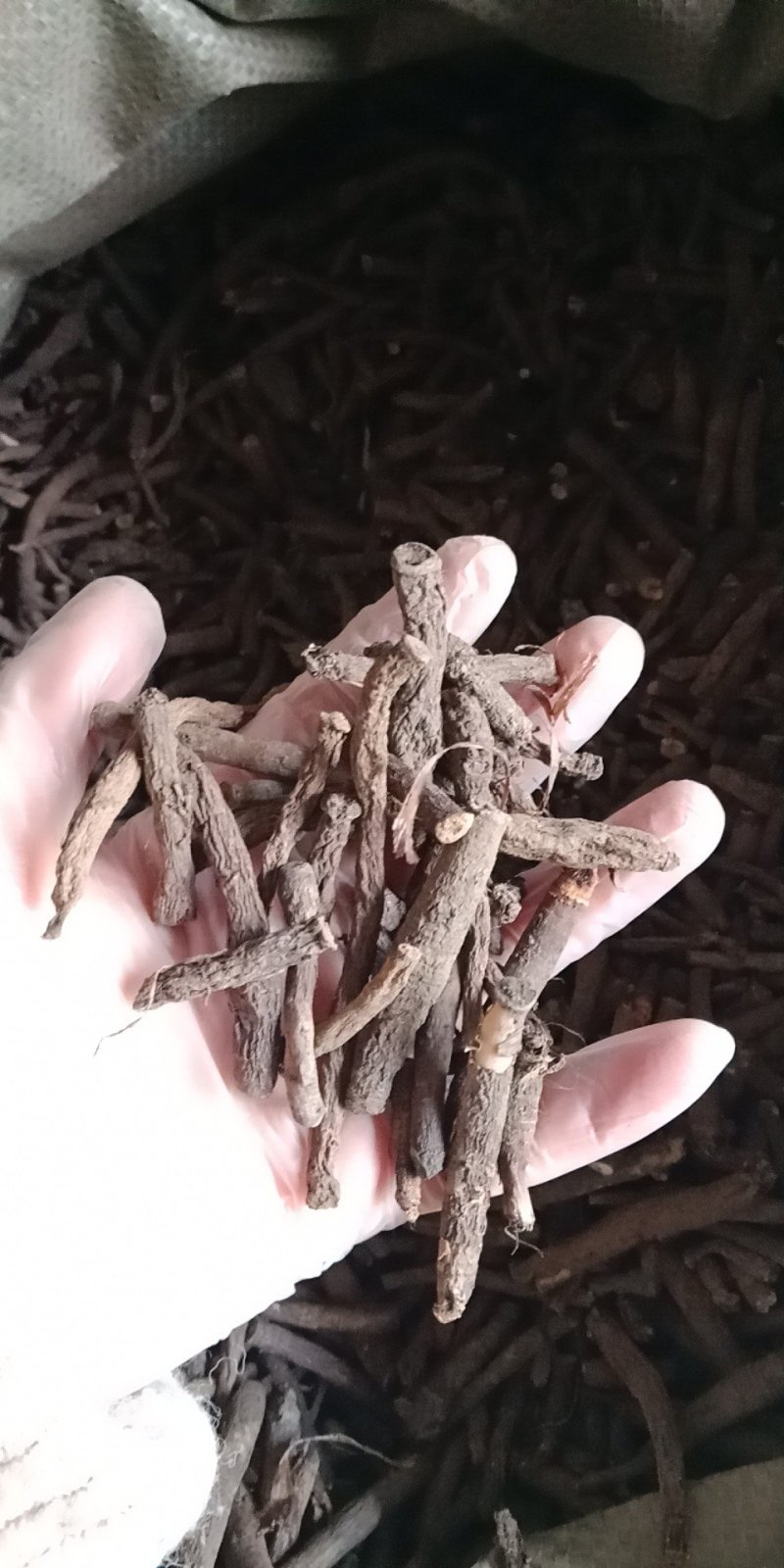 仙茅批发各种中药材批发零售各种规格中药材