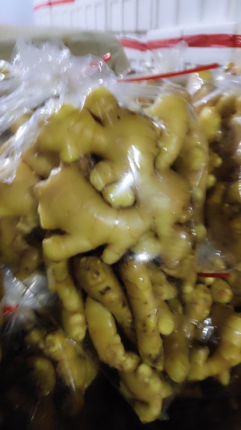山东昌乐大姜，短胖姜，颜色好，形状好，质量杠杠滴